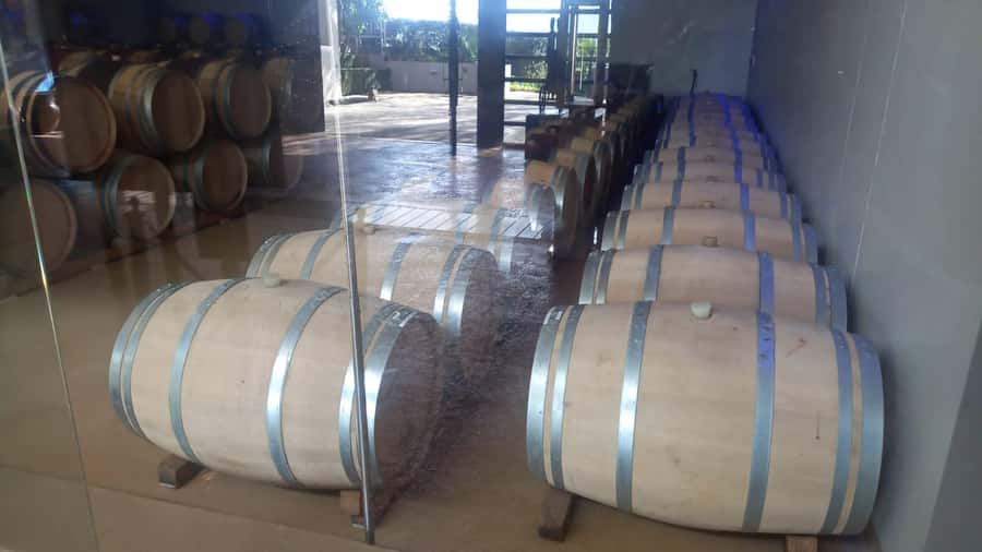Stellenbosch, Franshoek ,Paarl Region (20 wine tastings) - Delheim lunch on the terrace