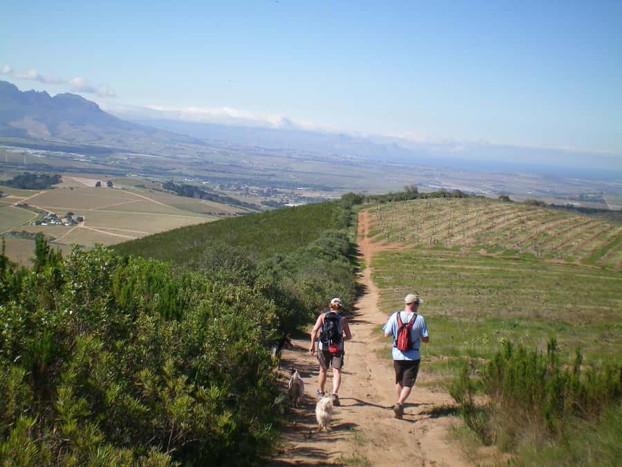 Stellenbosch: Guided Vineyard Hike and Wine Tasting - Starting from Stellenbosch and entering Banhoek Valley