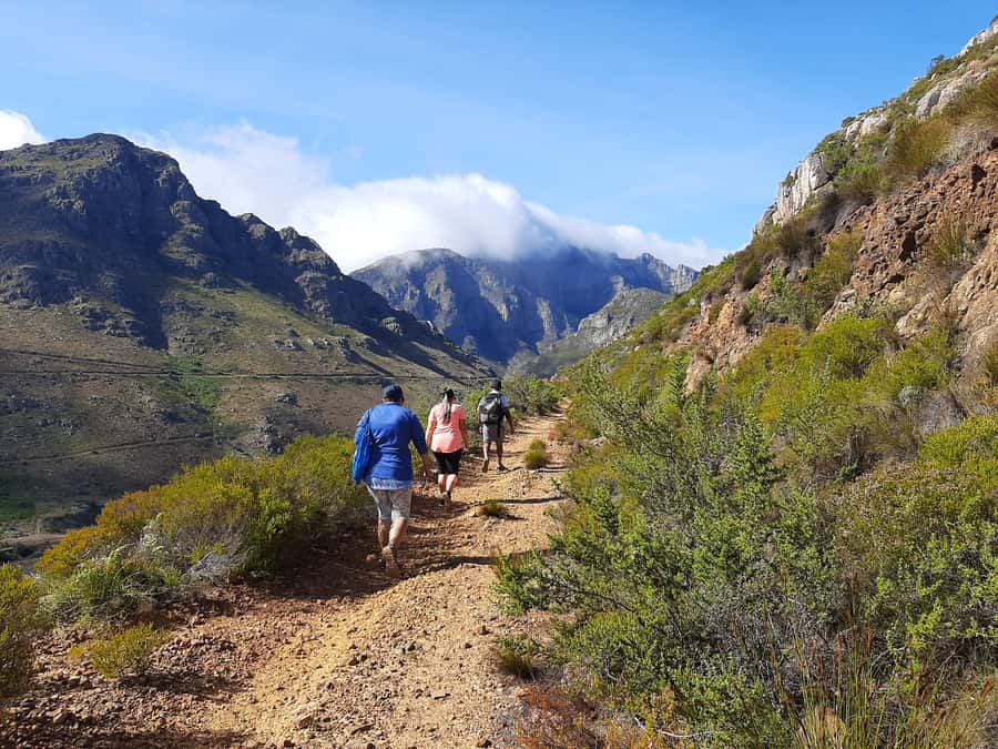 Stellenbosch: Half-Day Guided Nature Hike and Wine Tasting - Key points at a glance