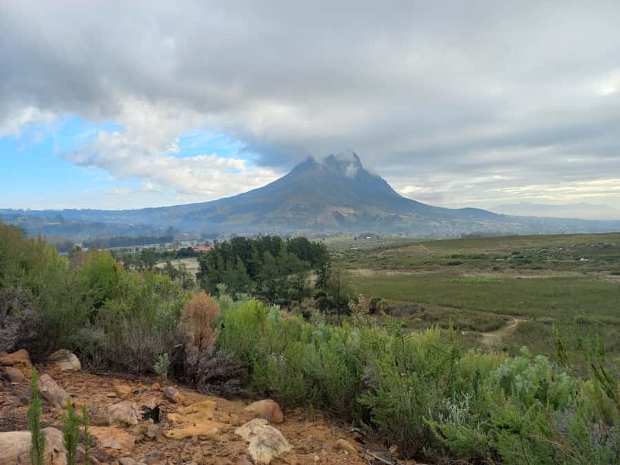 Stellenbosch: Half-Day Guided Nature Hike and Wine Tasting - Why this Banhoek Valley outing works