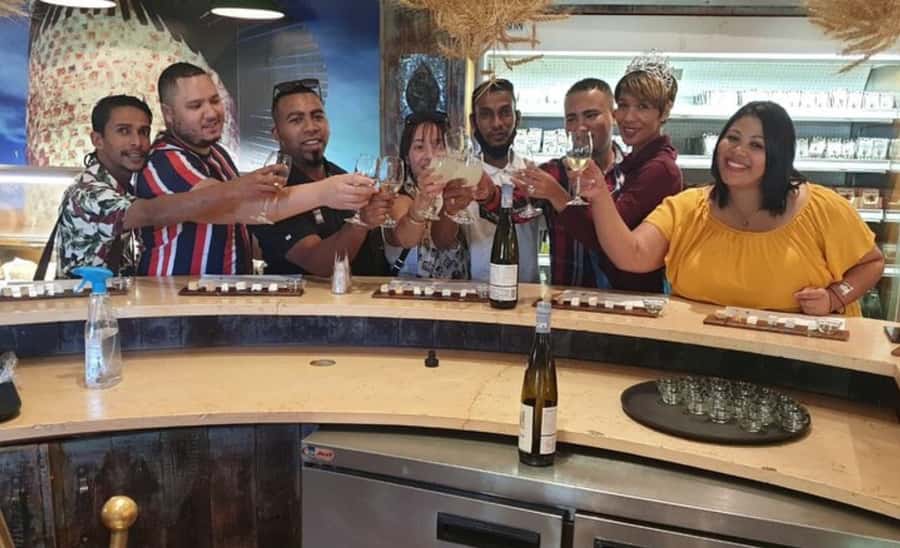 Stellenbosch: Half-Day Wine Tour - The Guides Make a Real Difference