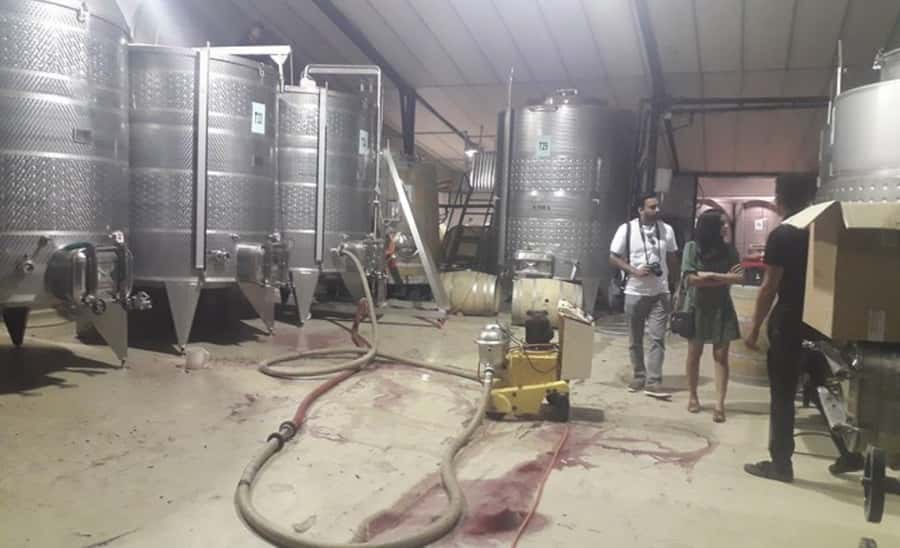 Stellenbosch: Half-Day Wine Tour - How the Schedule Feels in Real Life