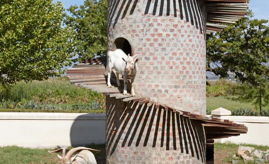 Stellenbosch: Half-Day Wine Tour - Who Will Enjoy This Stellenbosch Tour Most?