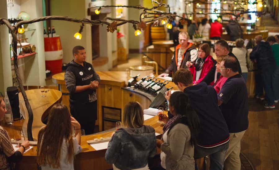 Stellenbosch: Half-Day Wine Tour - Leaving Cape Town for the Winelands