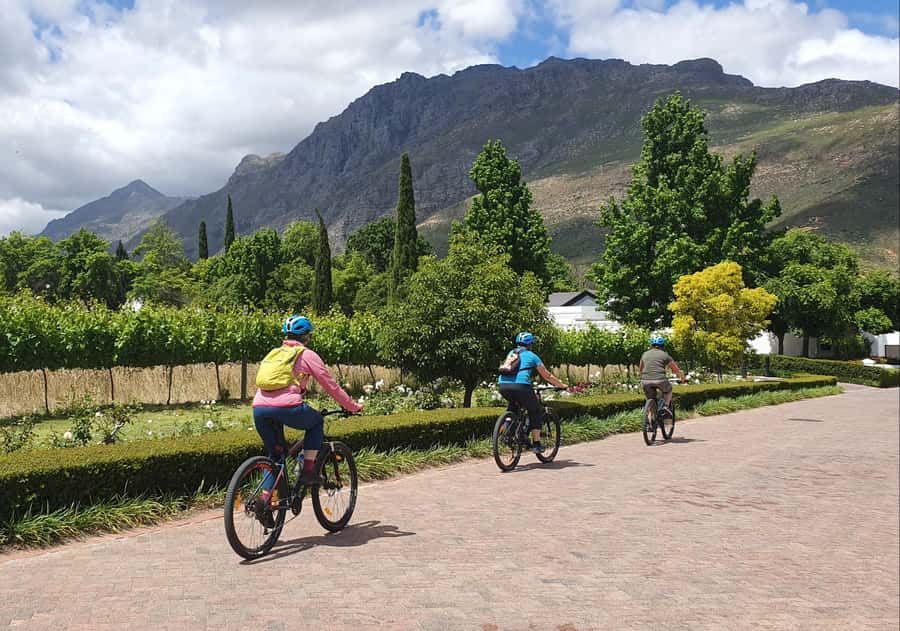 Stellenbosch: Historical Bike Tour & Wine Tasting - Returning through Stellenbosch University