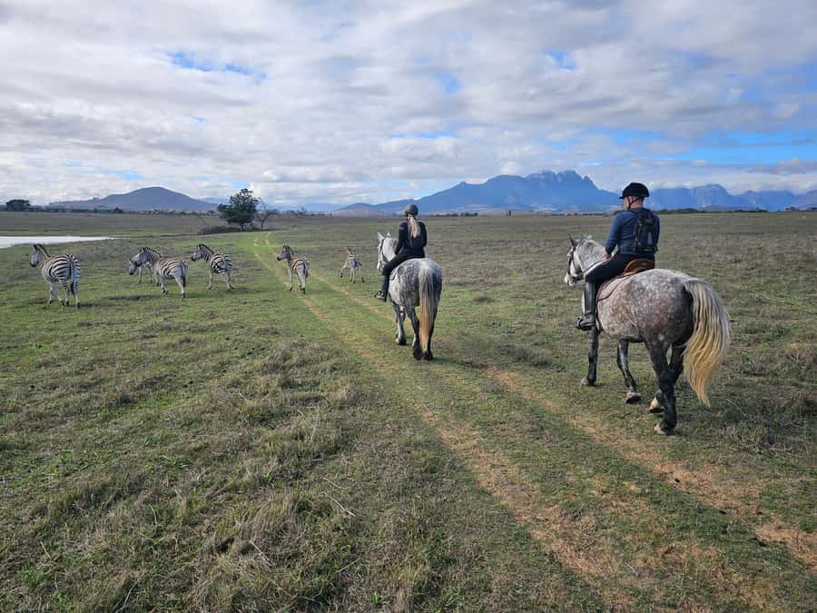 Stellenbosch: Horse Riding Wildlife Safari - A horseback view of Stellenbosch wildlife