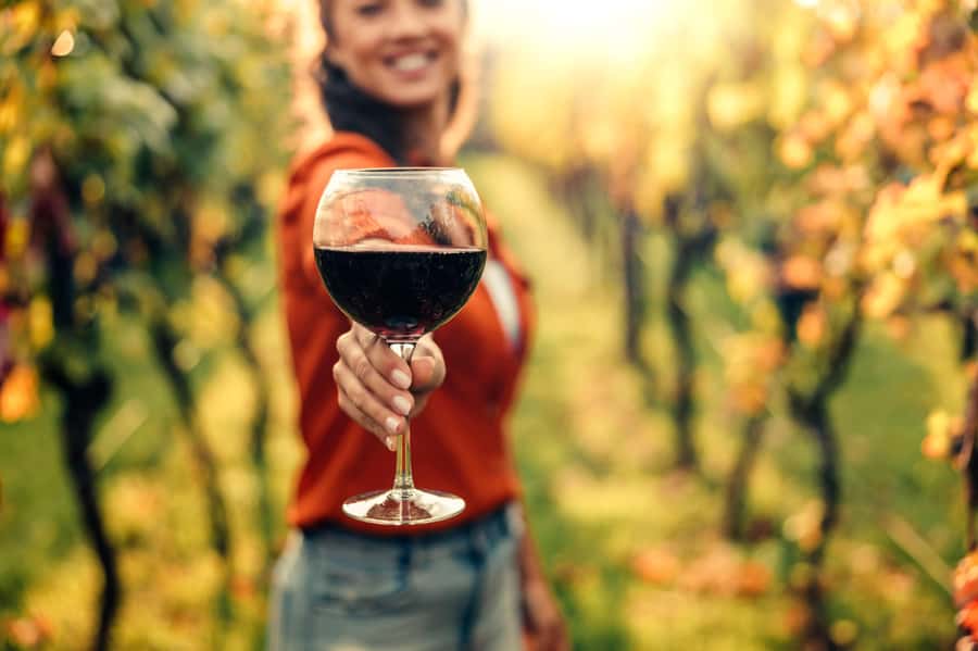 Stellenbosch North Guided Wine Safari (Tastings Included) - Why this Stellenbosch safari works well