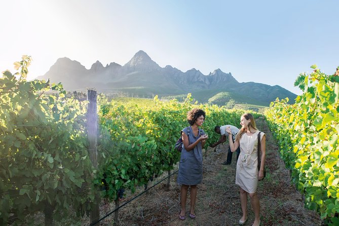 Stellenbosch, Paarl & Franschhoek Private Full Day Wine Tour - Franschhoek brings lunch and French Cape history