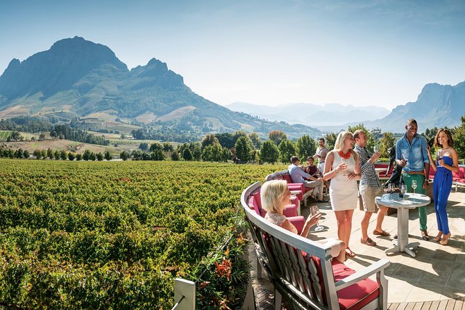 Stellenbosch, Paarl & Franschhoek Private Full Day Wine Tour - Delaire Graff: premium wine and polished views