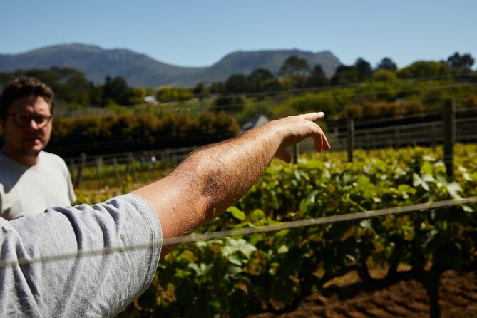 Stellenbosch Small Group Wine Tasting Tour From Cape Town - Boschendal, a grand farm between two mountain ranges