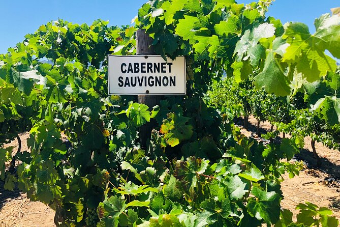 Stellenbosch Small Group Wine Tasting Tour From Cape Town - Delaire Graff, the polished showpiece