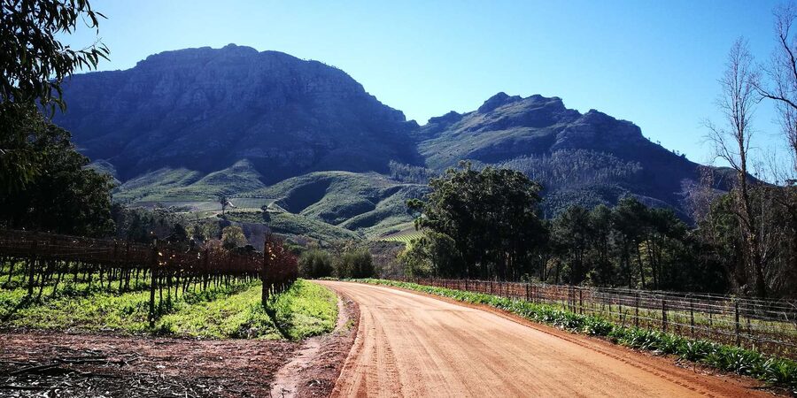 Stellenbosch: Stellenbosch E-Bike & Wine Tour (Shared Tour) - Guides Prince and Tim shape the day