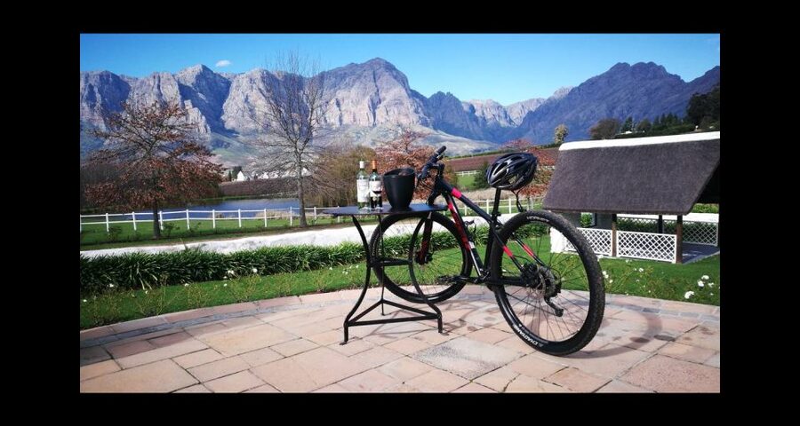 Stellenbosch: Stellenbosch Private E-Bike & Wine Tour - Practical advice for a smoother day
