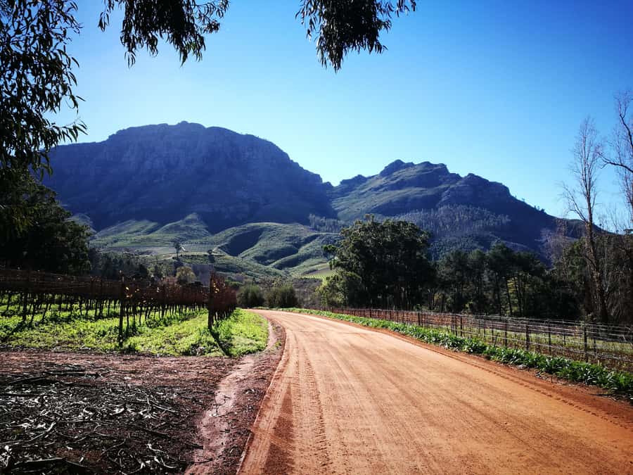 Stellenbosch: Stellenbosch Private E-Bike & Wine Tour - Starting at Banhoek Lodge