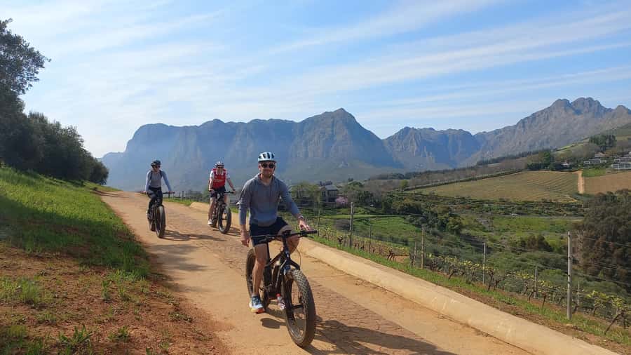 Stellenbosch: Stellenbosch Private E-Bike & Wine Tour - First winery: time for tasting and cellar details