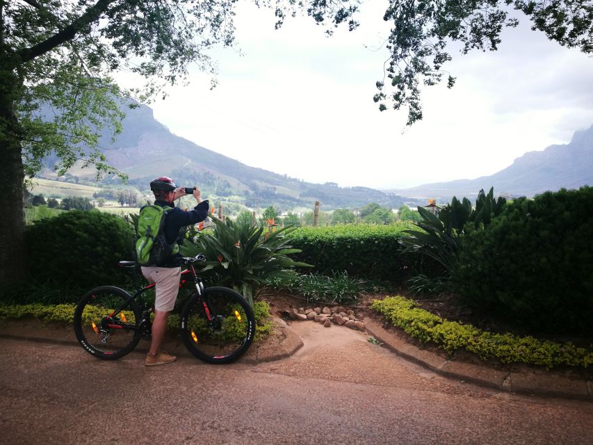Stellenbosch: Stellenbosch Private E-Bike & Wine Tour - The short vineyard visit before returning