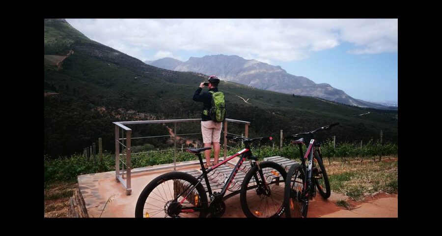 Stellenbosch: Stellenbosch Private E-Bike & Wine Tour - What the 4.5-hour schedule really means