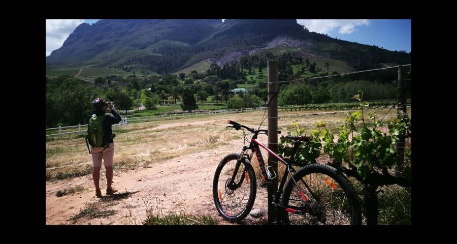 Stellenbosch: Stellenbosch Private E-Bike & Wine Tour - Is $186 per person good value?