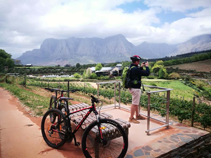 Stellenbosch: Stellenbosch Private E-Bike & Wine Tour - Who will enjoy this ride most?