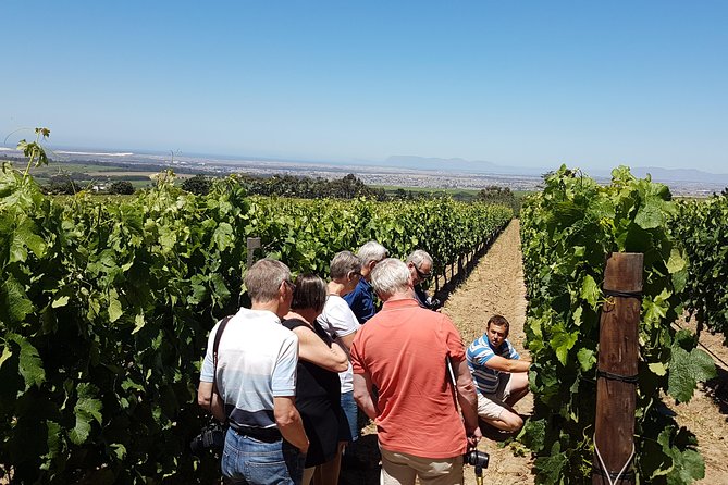 Stellenbosch Valley. Private wine tour with winemaker in Swedish or English. - Three estates with three different personalities