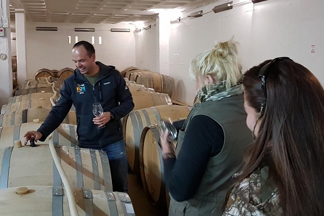 Stellenbosch Valley. Private wine tour with winemaker in Swedish or English. - Private transport from Cape Town