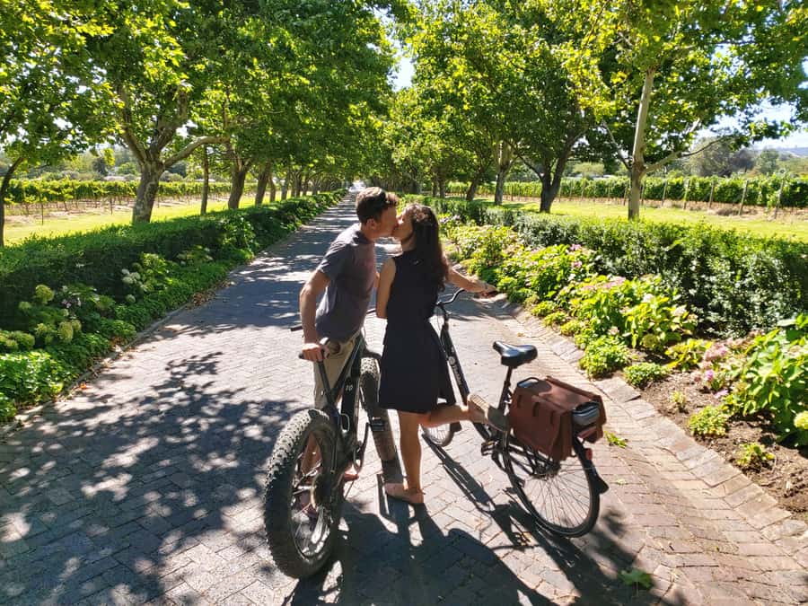 Stellenbosch: Wine Farm E-Bike Guided Tour - Key points before you book