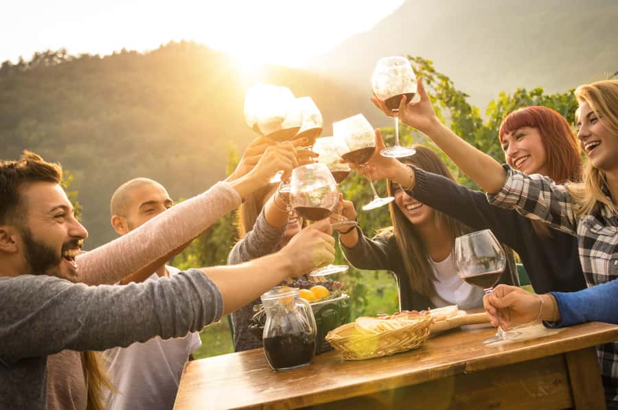 Stellenbosch: Wine Farm E-Bike Guided Tour - Who will enjoy this ride most