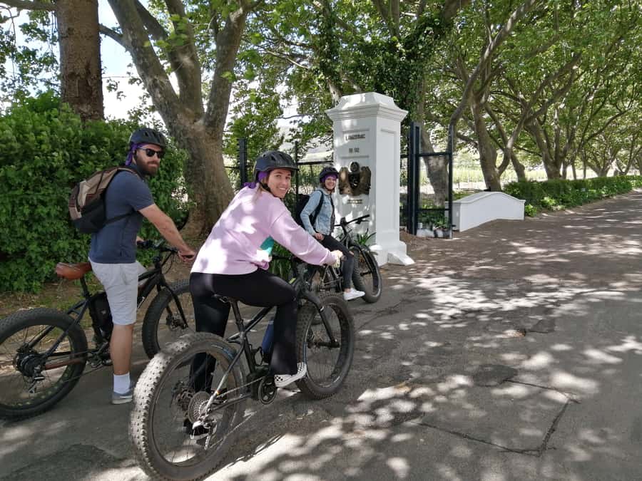 Stellenbosch: Wine Farm E-Bike Guided Tour - The first 15 minutes: learning the bike and the route
