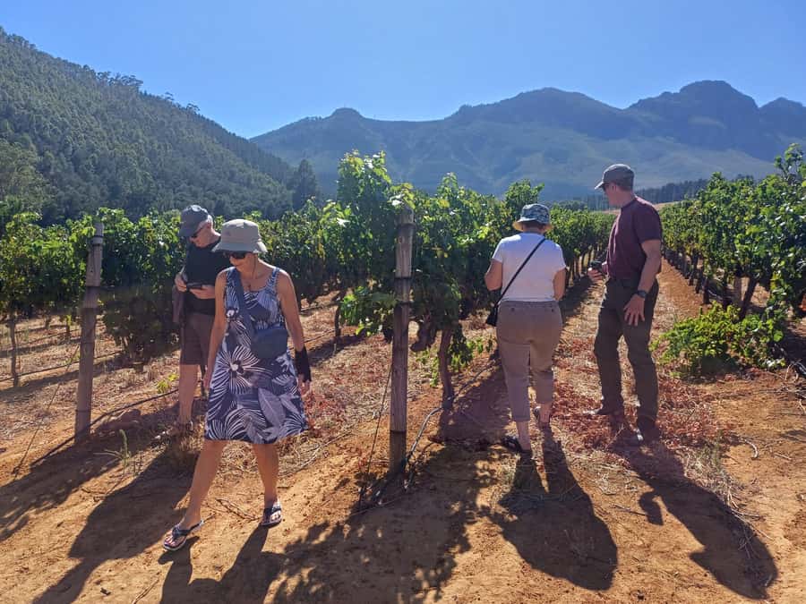 Stellenbosch wine tour, all inclusive of lunch and tastings. - A cellar tour, with realistic expectations
