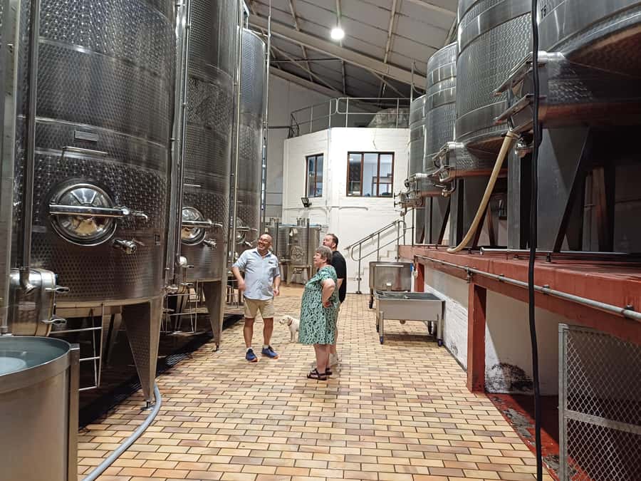 Stellenbosch wine tour, all inclusive of lunch and tastings. - Cheese pairing and a proper South African lunch