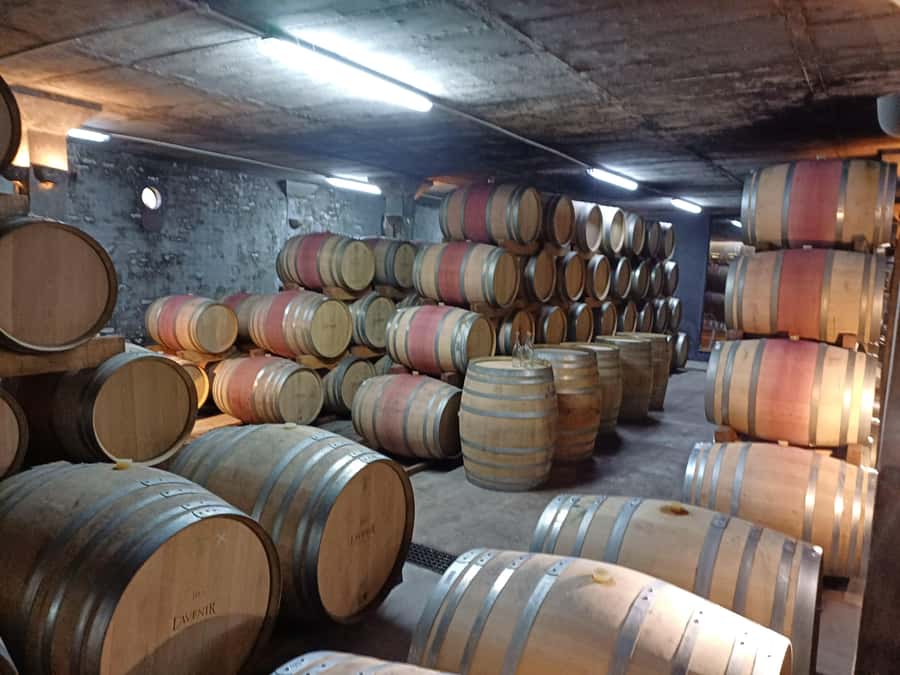 Stellenbosch wine tour, all inclusive of lunch and tastings. - Transport, comfort, and what to bring