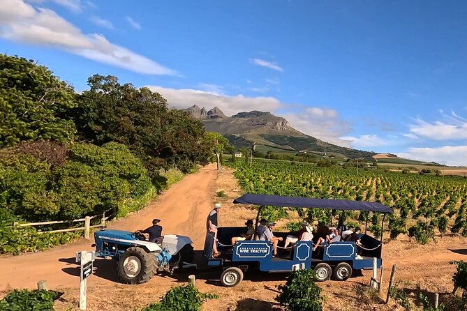Stellenbosch Wine Tractor hop-on-hop off wine tasting tour - Key things to know before you go