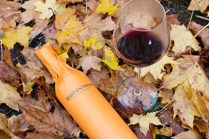 Stellenbosch Winelands Connoisseur Day Tour with Private Transfer - Key points to know before booking