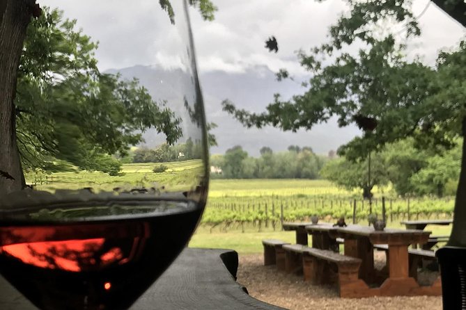 Stellenbosch Winelands Connoisseur Day Tour with Private Transfer - Optional Franschhoek Motor Museum for a change of pace