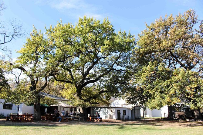 Stellenbosch Winelands Connoisseur Day Tour with Private Transfer - How much value do you get for $262.26?