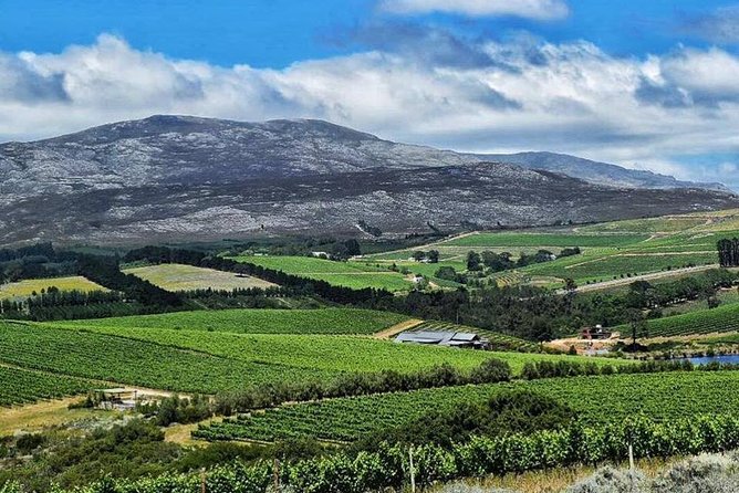Stellenbosch Winelands Experience - Boschendal lunch, with the bill left to you