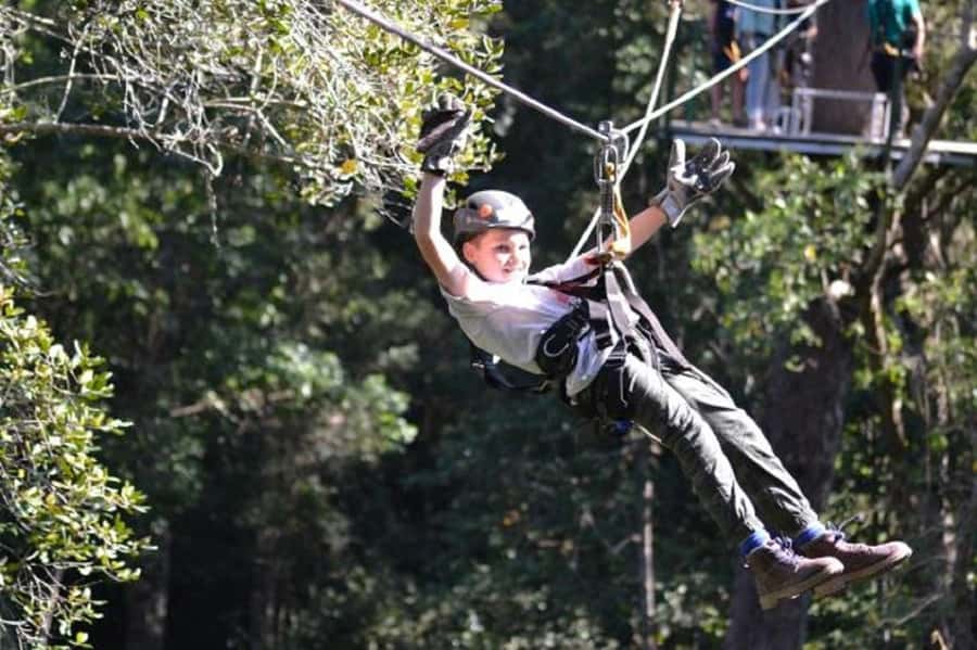 Storms River: Tsitsikamma National Park Zipline Canopy Tour - Key points to know before you book