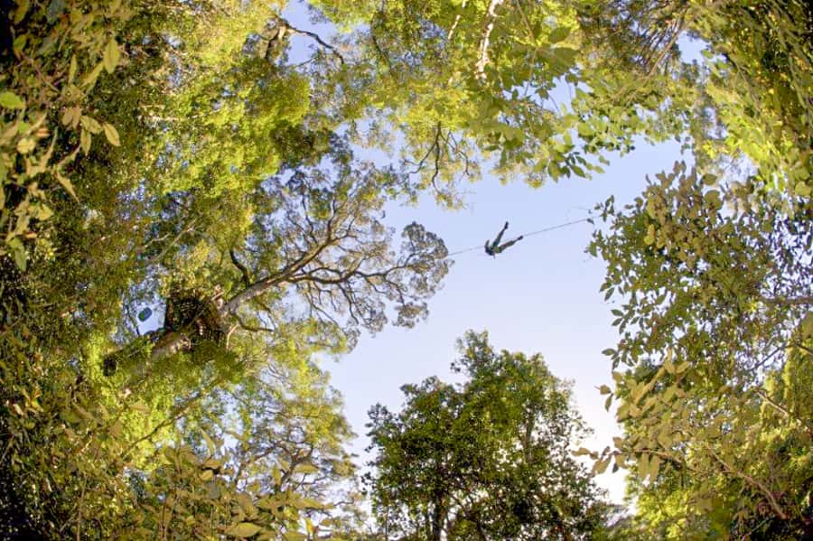 Storms River: Tsitsikamma National Park Zipline Canopy Tour - How thrilling is the zipline itself?