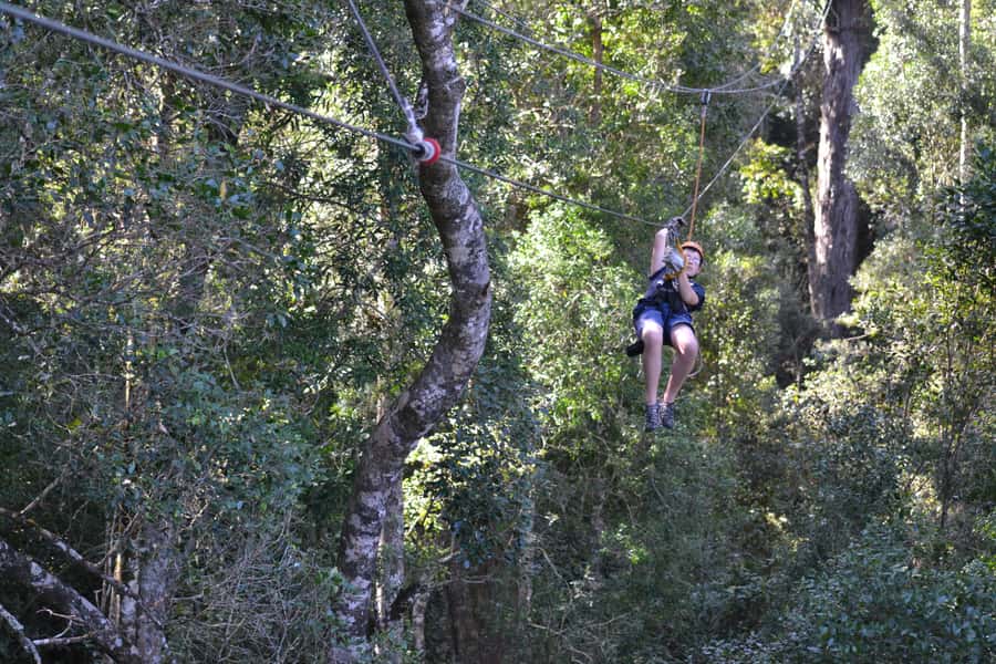 Storms River: Tsitsikamma National Park Zipline Canopy Tour - The 600-metre walk after the final platform