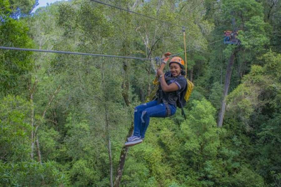 Storms River: Tsitsikamma National Park Zipline Canopy Tour - Is $55 good value for 150 minutes?