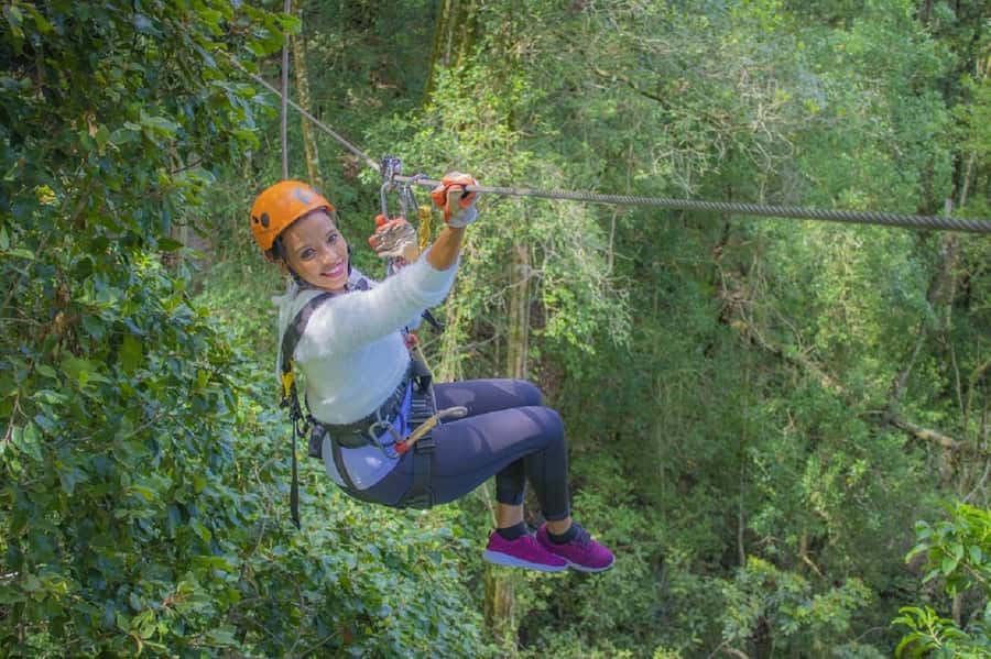 Storms River: Tsitsikamma National Park Zipline Canopy Tour - The safety briefing sets the tone