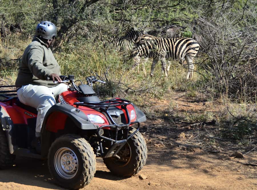 Sun City: Letsatsing Game Park Nature Trail Quad Bike Tour - From the Sun City Welcome Centre to Letsatsing