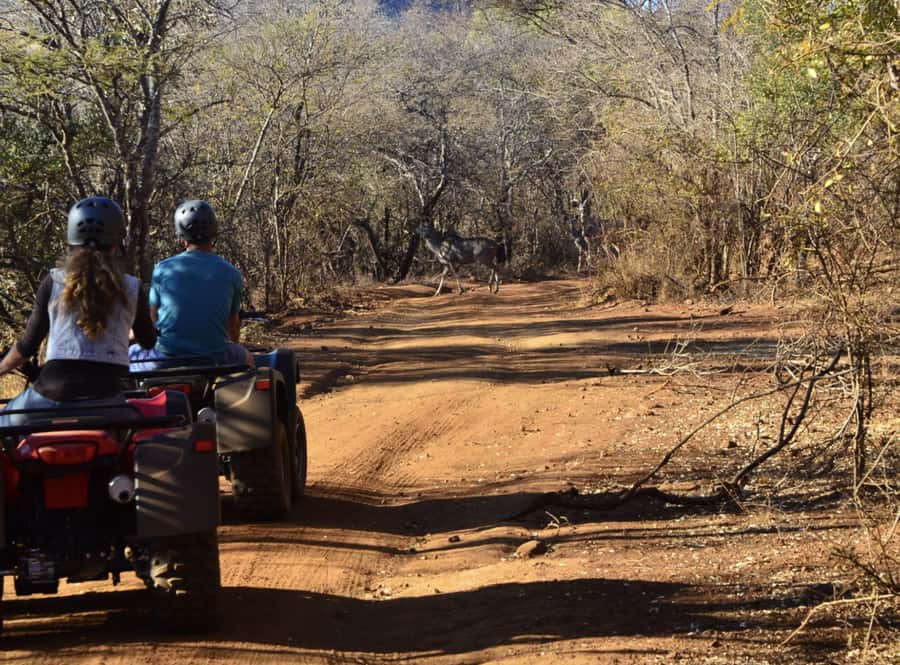 Sun City: Letsatsing Game Park Nature Trail Quad Bike Tour - Thirty Minutes on the Nature Trail