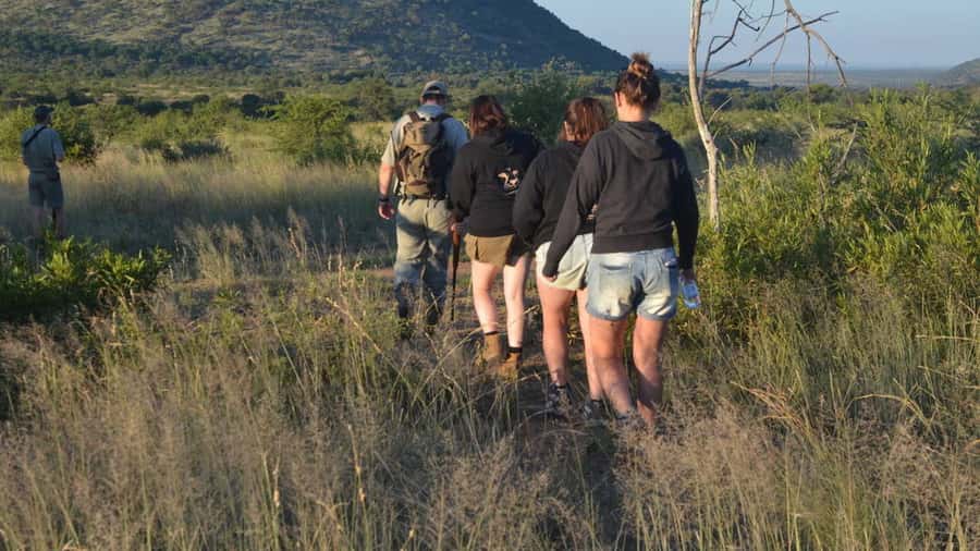 Sun City: Pilanesberg National Park Bush Walk - Key Things to Know Before You Go