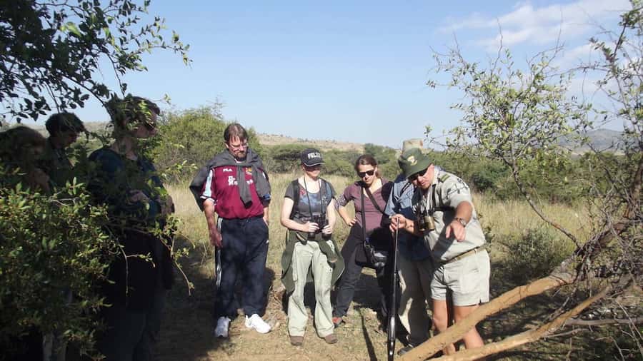 Sun City: Pilanesberg National Park Bush Walk - Walking Pilanesberg Instead of Riding Through It