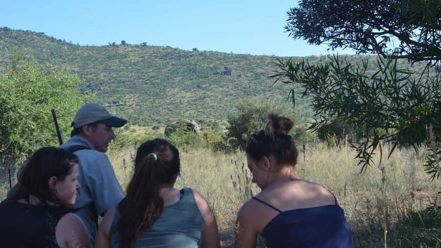 Sun City: Pilanesberg National Park Bush Walk - Why the Distant Lion Roar Matters