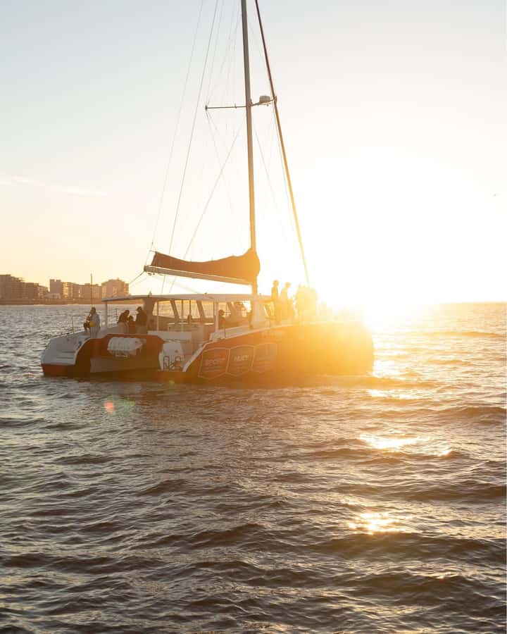 SUNSET BOUT CRUISE- Waterfrnt Cape Town (Hotel pickup incl.) - Key details before you book