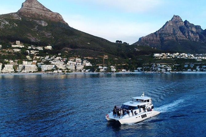 Sunset & Champagne Cruise for 2 pax on TIGGER 2 ( Guaranteed departure ) - Clifton 4th Beach or Table Bay, depending on conditions