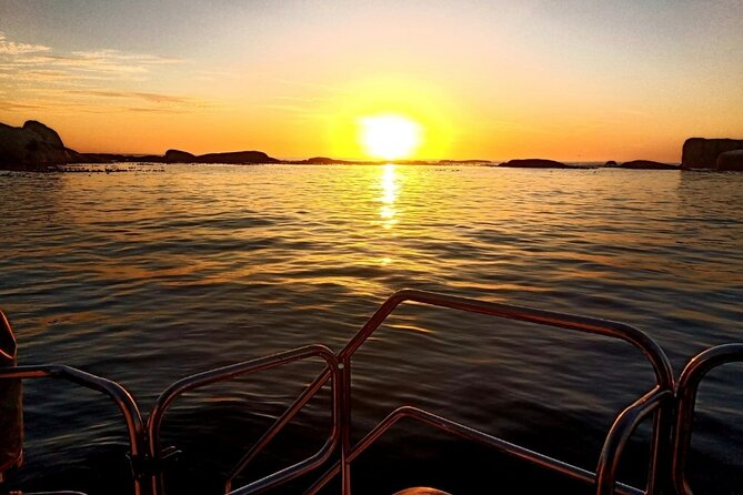 Sunset Champagne Cruise from Cape Town - Why the Atlantic sunset is the real attraction