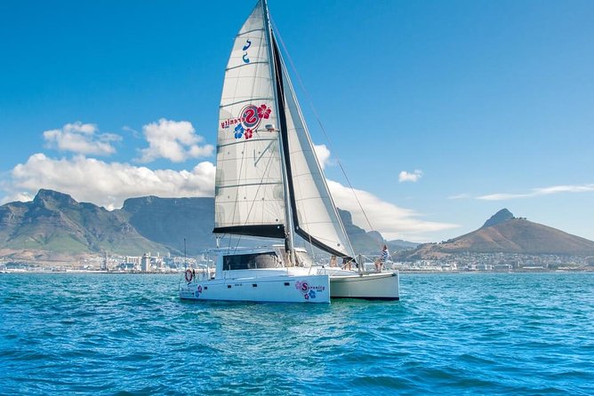 Sunset Champagne Cruise from Cape Town - Weather, wind, and comfort on the water